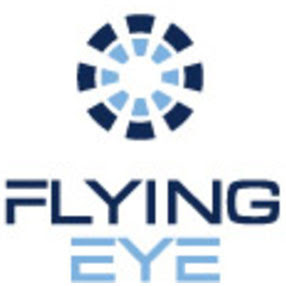 flying eye