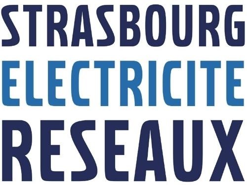 Strasbourg electricité réseaux client Dronekeeper
